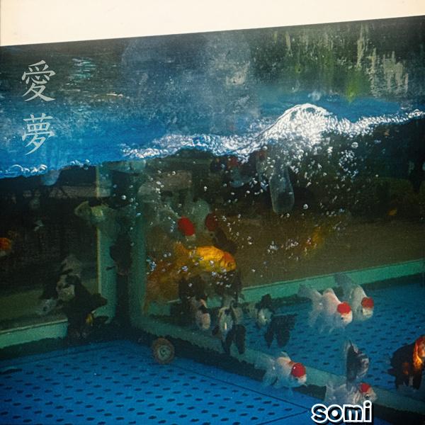 Image Cover